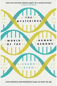 The Mysterious World of the Human Genome