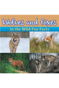 Wolves and Foxes in the Wild Fun Facts