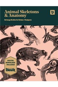 Animal Skeletons and Anatomy