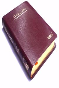 Telugu Bible OV 57 TI