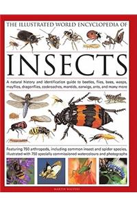 The Illustrated World Encyclopaedia of Insects