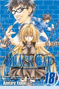 Black Cat, Vol. 18, 18