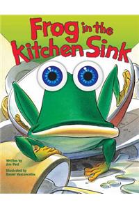 Frog in the Kitchen Sink