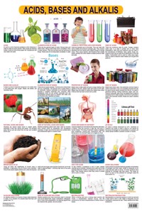 Acids, Bases & Alkalis