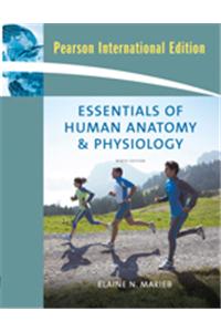 Essentials of Human Anatomy and Physiology