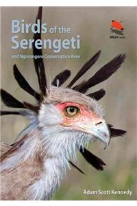 Birds of the Serengeti