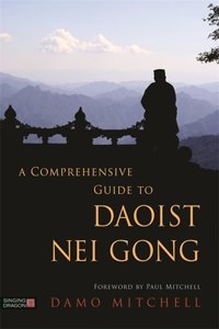 Comprehensive Guide to Daoist Nei Gong