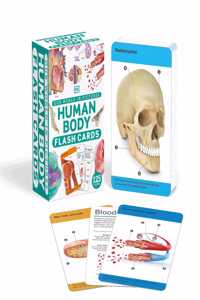 Our World in Pictures Human Body Flash Cards