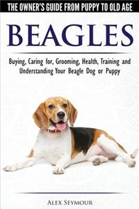 Beagles - The Owner's Guide from Puppy to Old Age - Choosing, Caring for, Grooming, Health, Training and Understanding Your Beagle Dog or Puppy