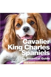 Cavalier King Charles Spaniels