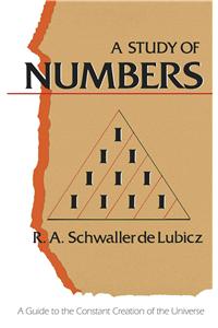 Study of Numbers