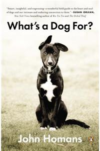 What's a Dog For?: The Surprising History, Science, Philosophy, and Politics of Man's Best Friend