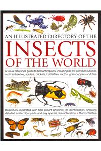 Illustrated Directory of the Insects of the World: A Visual Reference Guide to 650 Arthropods, Including All the Common Insect Species Such as Beetles, Spiders, Butterflies, Moths, Grasshoppers and F