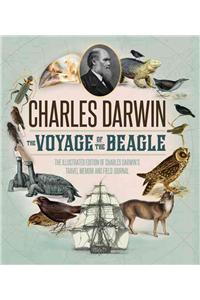 Voyage of the Beagle