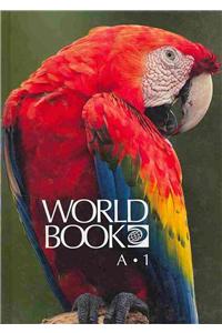 World Book Encyclopedia