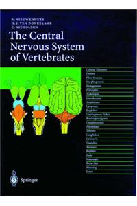 Central Nervous System of Vertebrates: An Introduction to Structure and Function