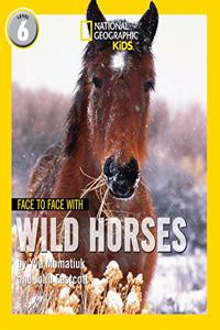 Face to Face with Wild Horses