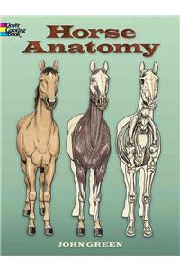 Horse Anatomy Coloring Book