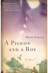 Pigeon and a Boy