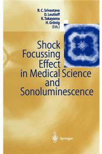 Shock Focussing Effect in Medical Science and Sonoluminescence