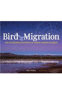 Bird Migration: The Incredible Journeys of North American Birds