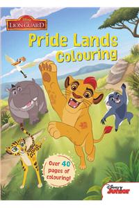 Disney Junior The Lion Guard Pride Lands Colouring