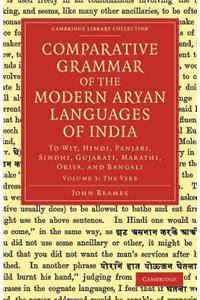 Comparative Grammar of the Modern Aryan Languages of India - Volume 3