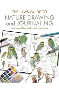 Buy Drawing Books For Kids Birds Books Online at Bookswagon & Get Upto 50%  Off