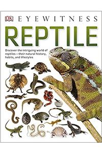 Reptile