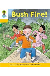 Oxford Reading Tree: Level 5: Decode and Develop Bushfire!