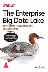 The Enterprise Big Data Lake: Delivering the Promise of Big Data and Data Science