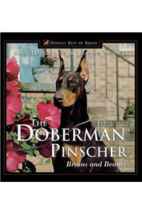 Doberman Pinscher: Brains and Beauty