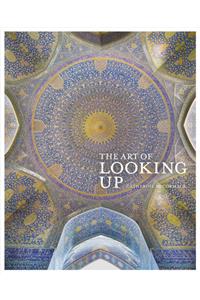 Art of Looking Up