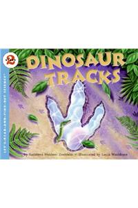 Dinosaur Tracks