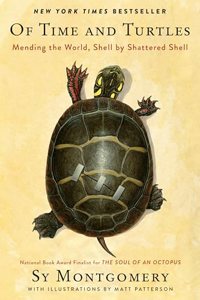 Of Time and Turtles: Mending the World, Shell by Shattered Shell