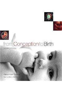 From Conception to Birth