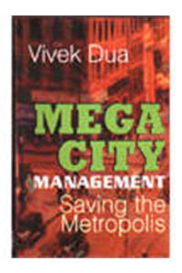 Megacity Management: Saving the Metropolis