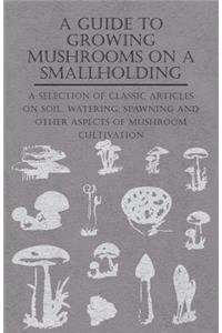 Guide to Growing Mushrooms on a Smallholding - A Selection of Classic Articles on Soil, Watering, Spawning and Other Aspects of Mushroom Cultivation (Self-Sufficiency Series)