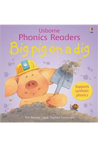 Big Pig On A Dig Phonics Reader