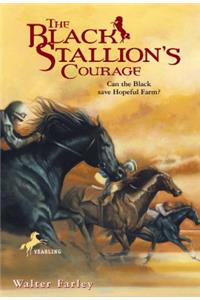 Black Stallion's Courage