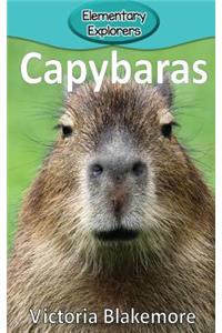 Capybaras