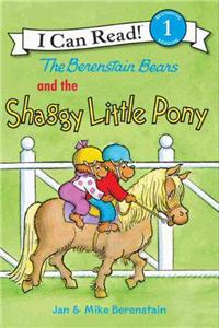 Berenstain Bears and the Shaggy Little Pony