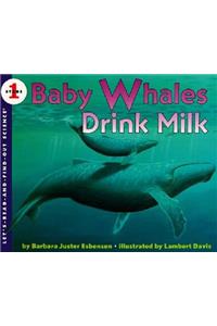 Baby Whales Drink Milk