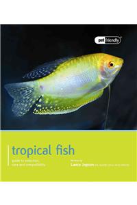 Tropical Fish - Pet Friendly