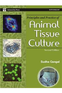 P And P Of Animal Tissue Culture (Revised)