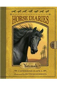 Horse Diaries #6