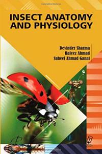 Insect Anatomy and Physiology