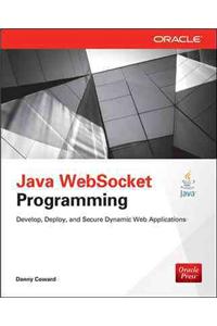 Java Websocket Programming