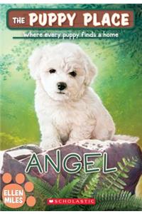 Angel (the Puppy Place #46): Volume 46