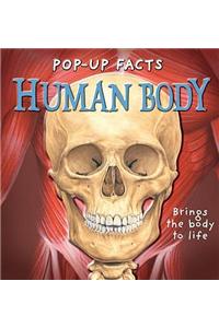 Pop-up Facts: Human Body